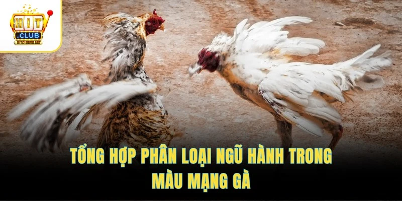 Màu Mạng Gà Đá – Hướng Dẫn Xem Ngày Hợp Mệnh Chi Tiết 3 Tổng hợp phân loại ngũ hành trong màu mạng gà